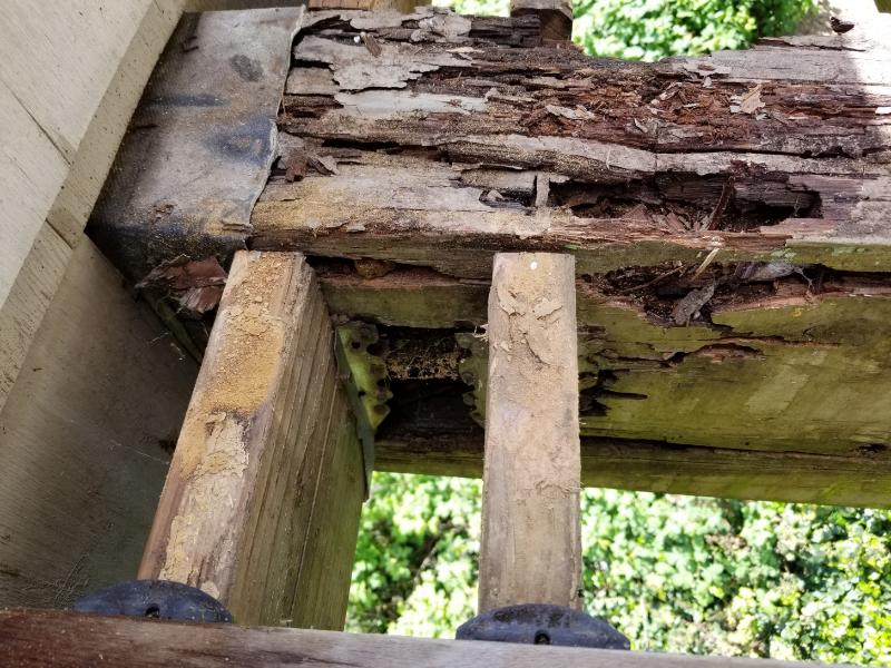 an image of Sacramento CA dry rot in wood beam